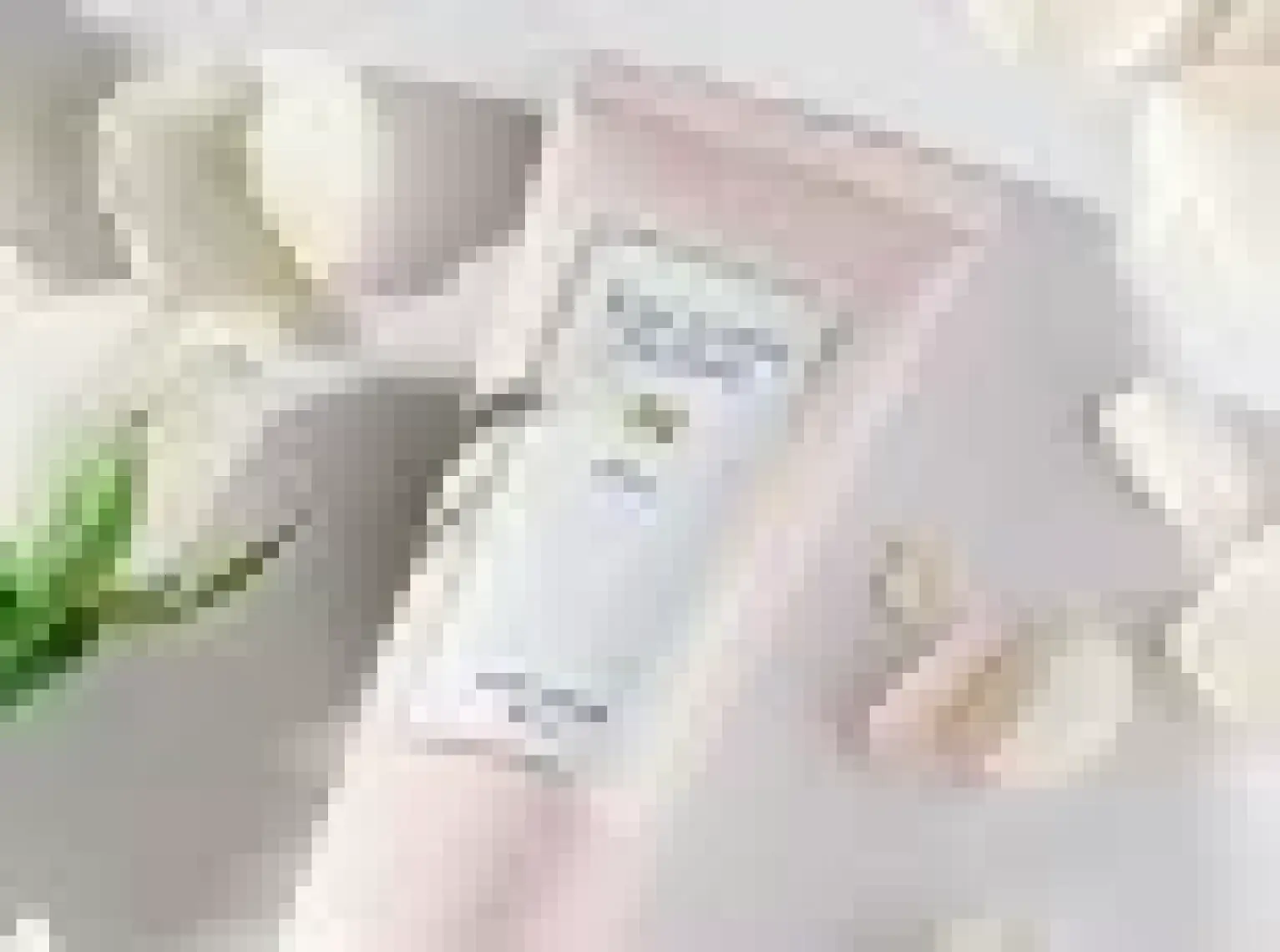 English Home Pure El Kremi 30 ml Açık Pembe