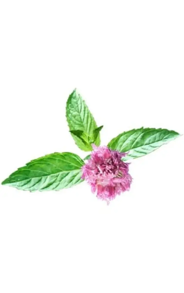 Avon Senses Water Mint Nane ve Salatalık Kokulu Banyo Köpüğü 1 Lt.