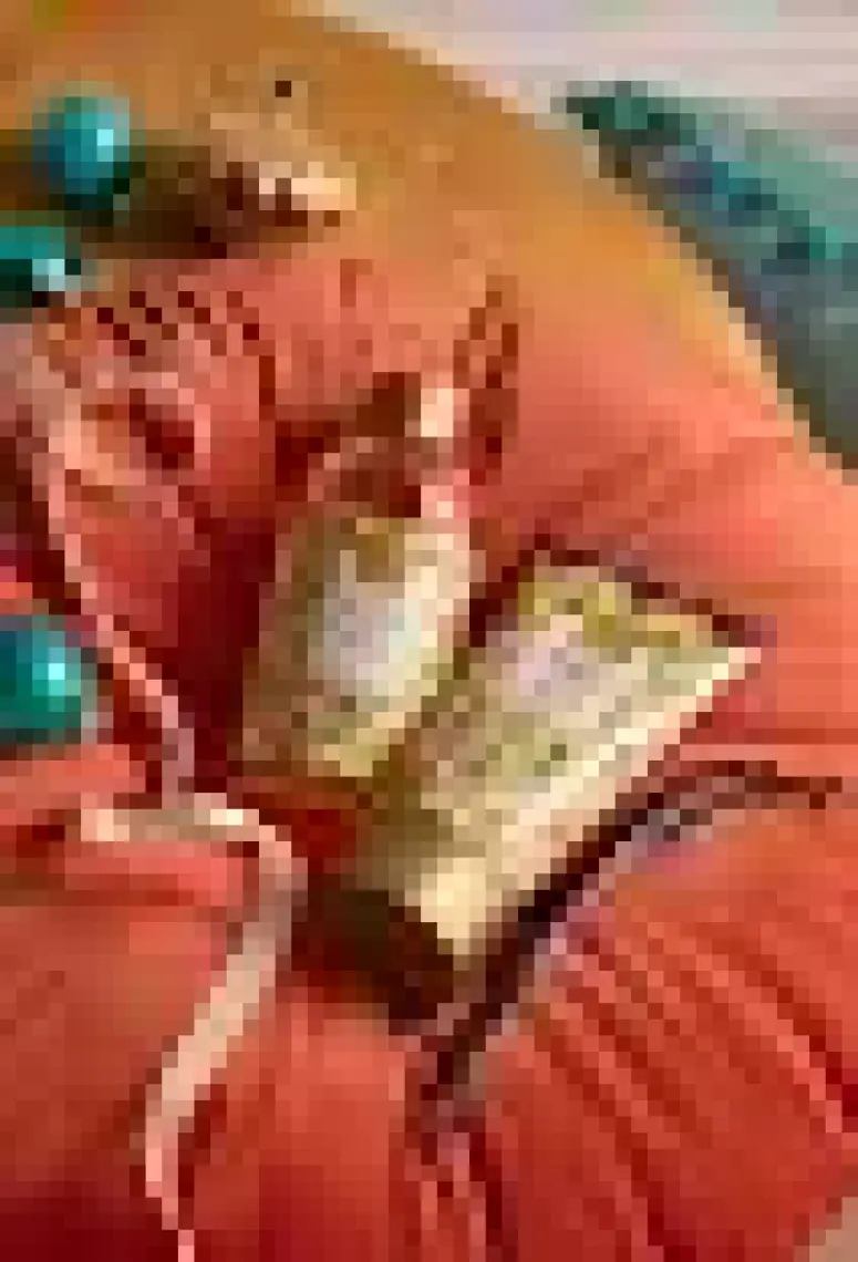 Avon Delightful Vanilla Vanilya İçeren Banyo Köpüğü 250ml