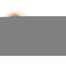 Vepa Prestige Saç Fırçası 262