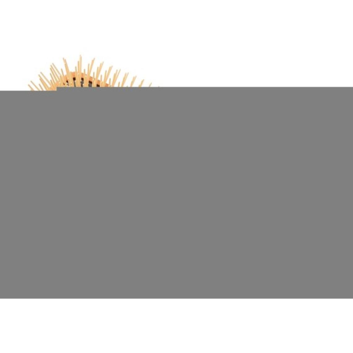 Vepa Prestige Saç Fırçası 262