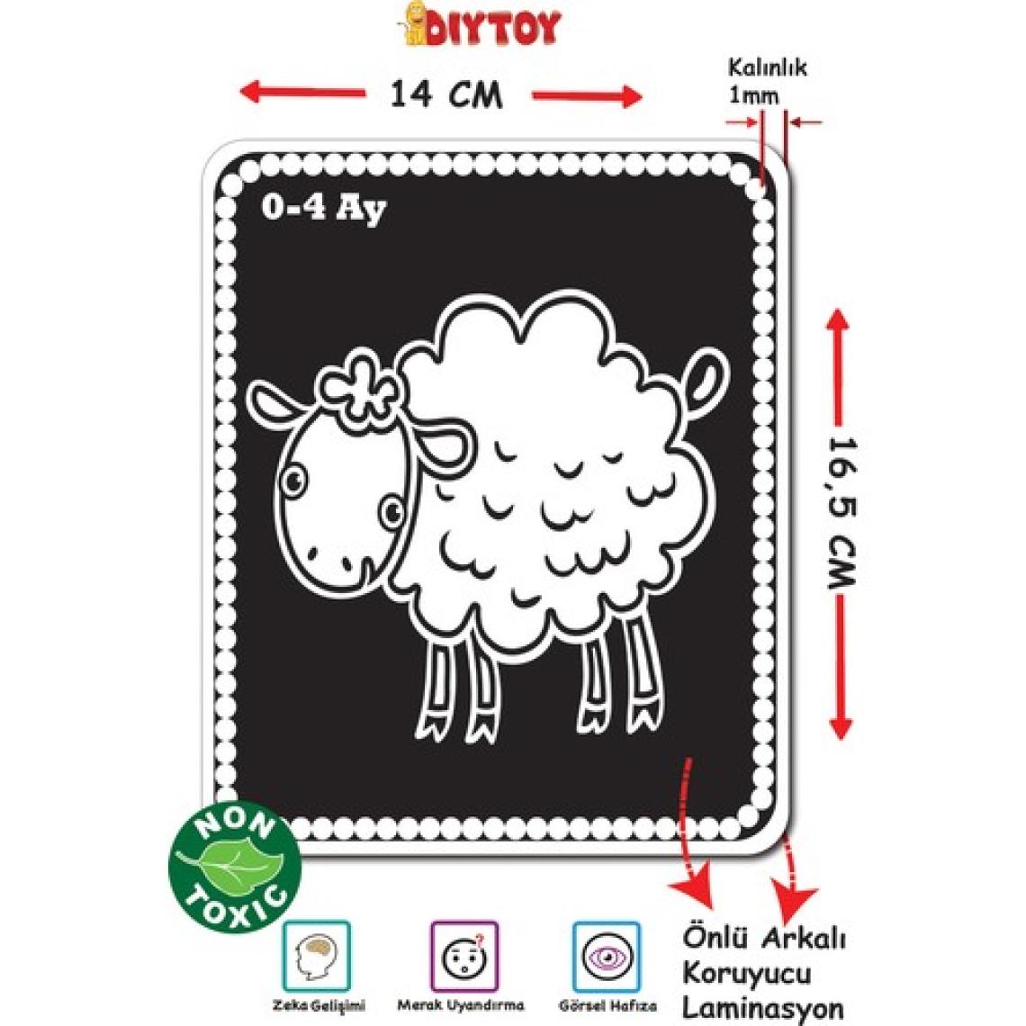 Diytoy Bebeğimin İlk Zeka Kartları (Flash Kart)