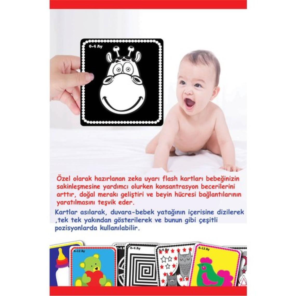 Diytoy Bebeğimin İlk Zeka Kartları (Flash Kart)