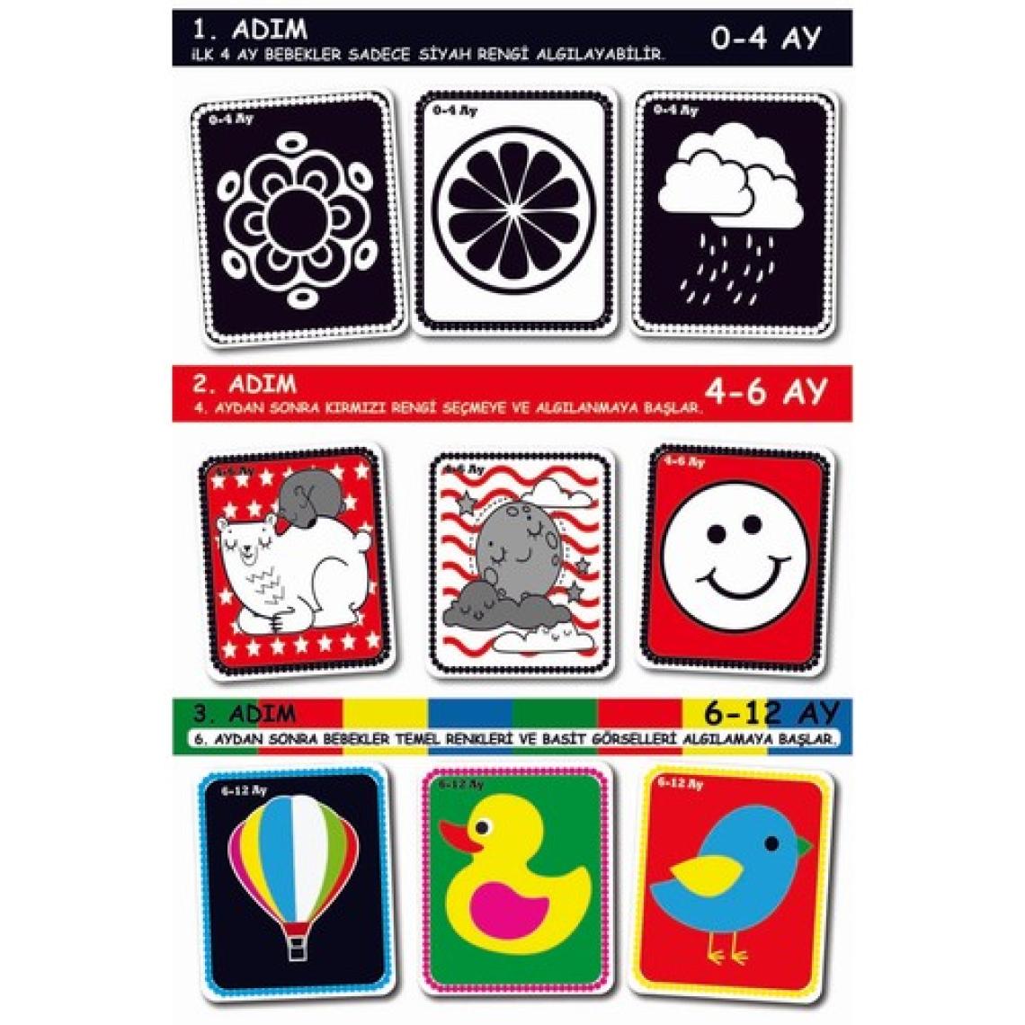 Diytoy Bebeğimin İlk Zeka Kartları (Flash Kart)