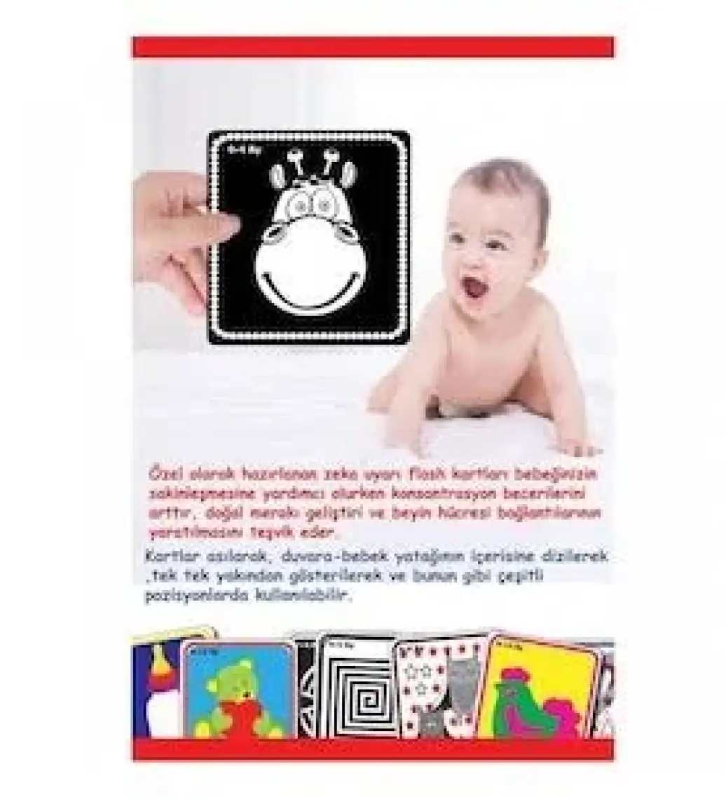 Diytoy Bebeğimin İlk Zeka Kartları (Flash Kart)