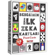 Diytoy Bebeğimin İlk Zeka Kartları (Flash Kart)