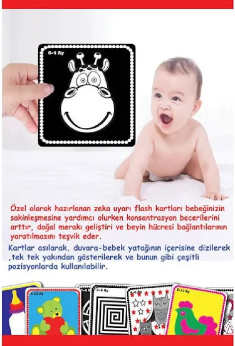 Diytoy Bebeğimin İlk Zeka Kartları (Flash Kart)