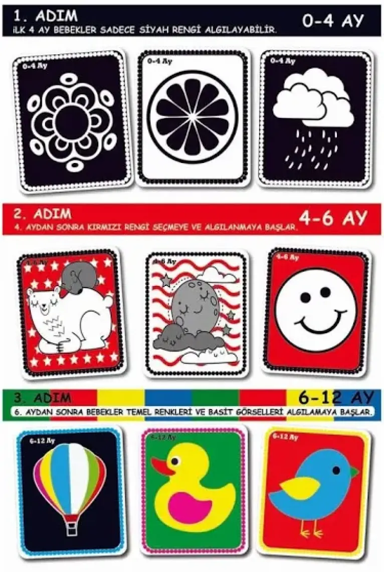Diytoy Bebeğimin İlk Zeka Kartları (Flash Kart)