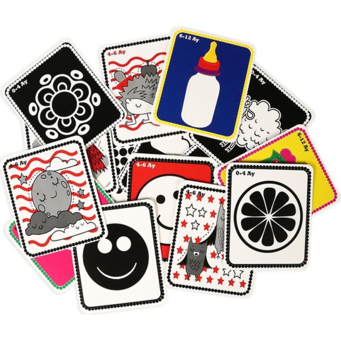 Diytoy Flash Cards İlk 50 Sözcük + Bebeğimin İlk Zeka Kartları 2'Li Set