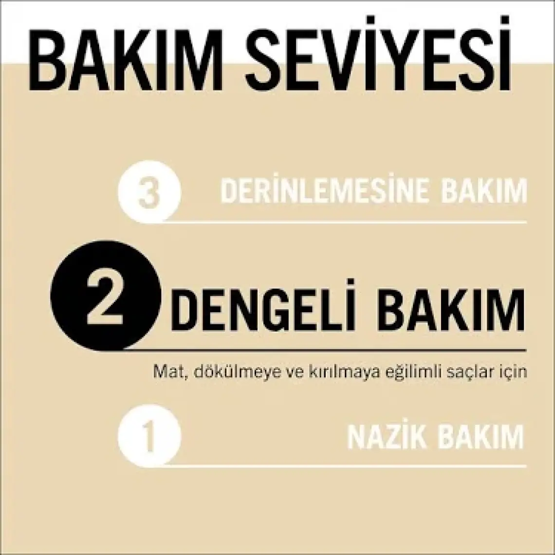 Gliss Ultimate Oil Elixir Besleyici Sıvı Saç Bakım Kremi - Aminoasit ve Argan Yağı ile 200 ml