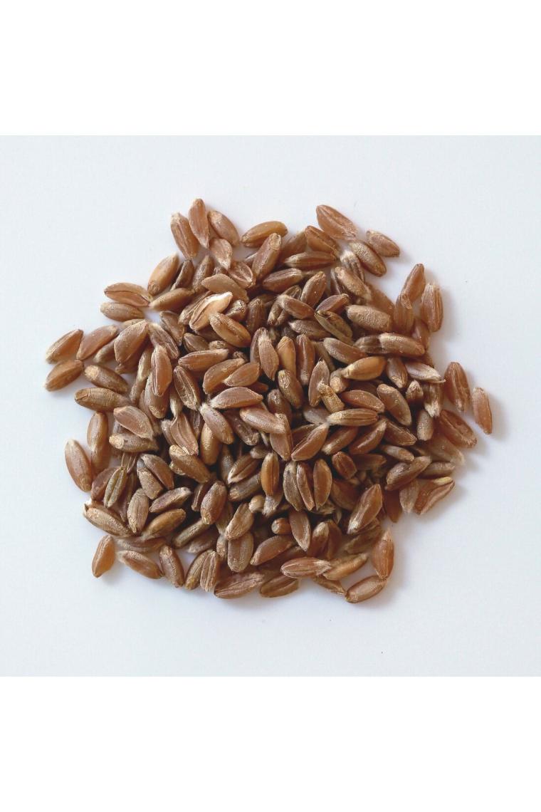 Katkısız Atalık Siyez Unu 1 Kg