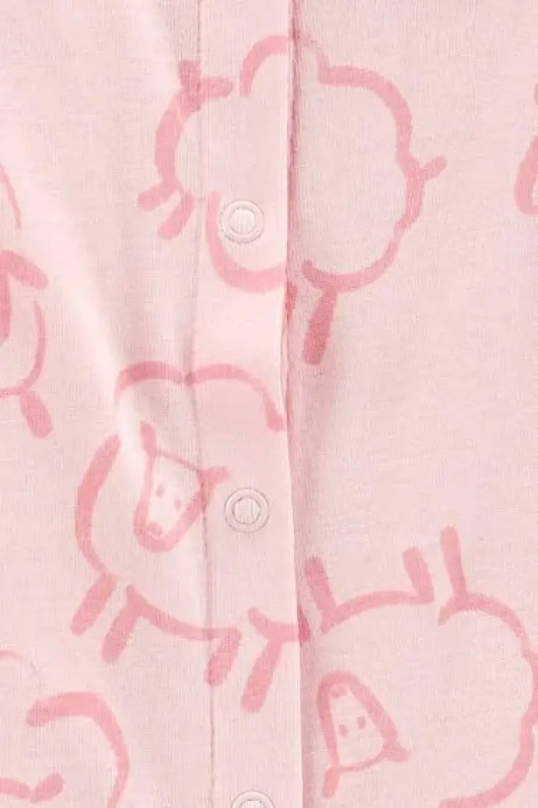 Carter's Kız Bebek Tulum Şapka Çorap Set 1N688310 Pembe