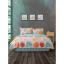 Cozy Home Çift Kişilik Lastikli Çarşaflı Nevresim Takımı Modern Mint