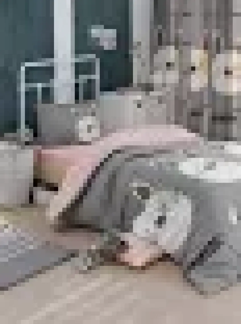 Eponj Home Kolay Ütülenir Nevresim Takımı Tek Kişilik Tavşancık A.Kahve-Gri-Pembe