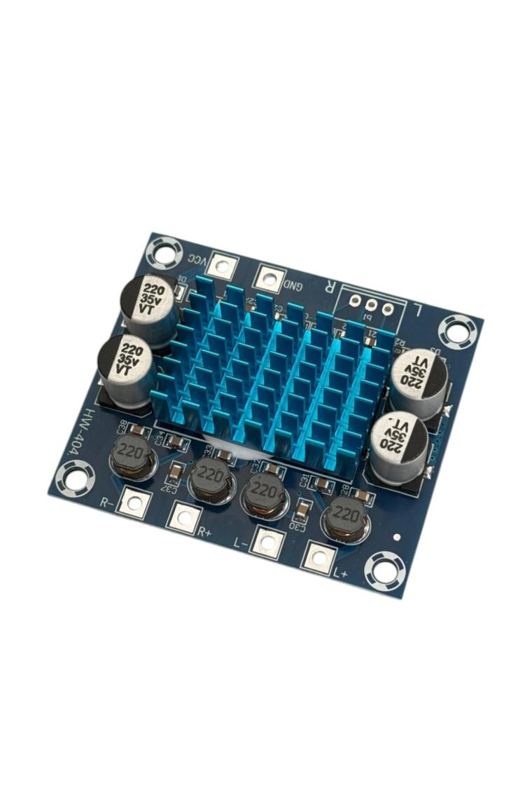 Elektronikport TPA3110 2X30W Streo Çift Kanal Amfi Devresi XH-A232
