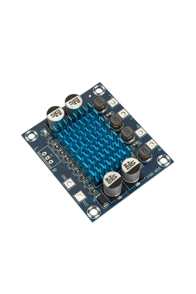 Elektronikport TPA3110 2X30W Streo Çift Kanal Amfi Devresi XH-A232