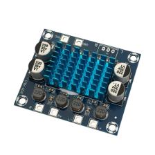 Elektronikport TPA3110 2X30W Streo Çift Kanal Amfi Devresi XH-A232