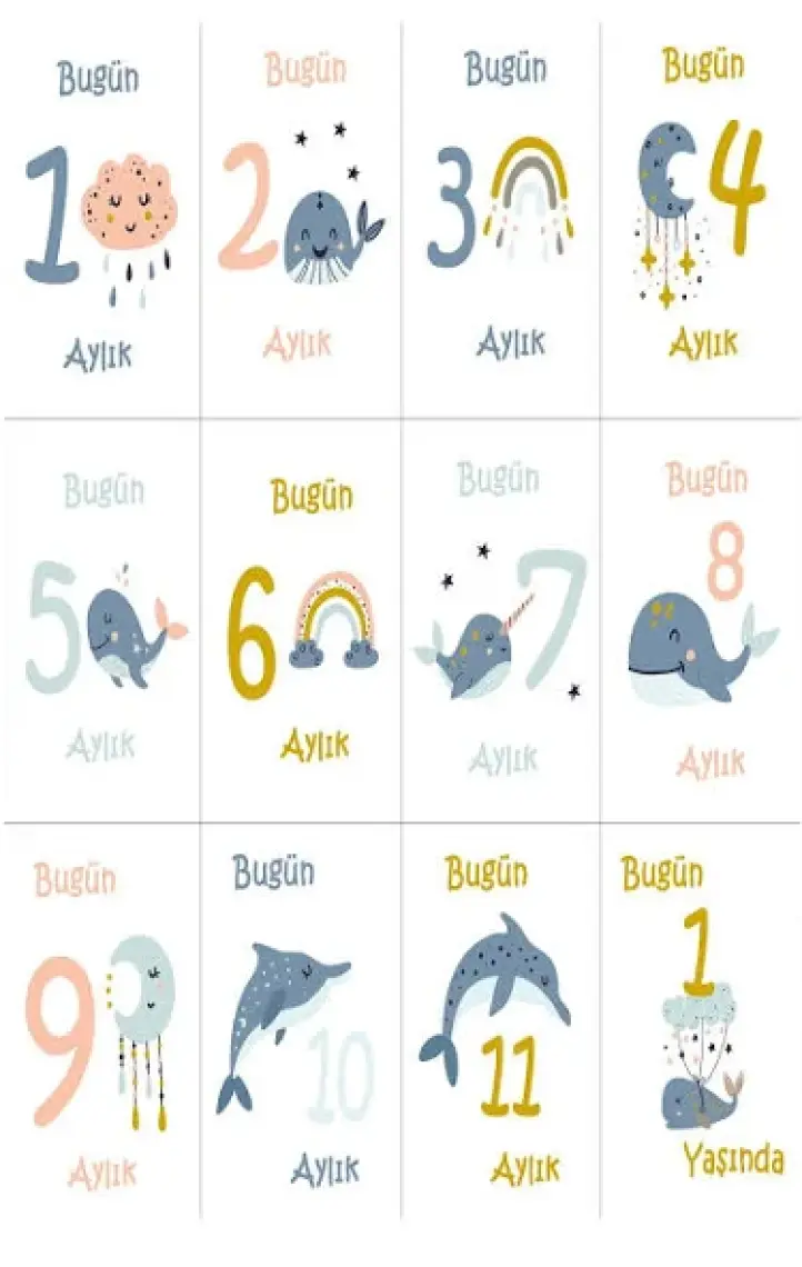 Moky Design Bebek Hediyelik Yenidoğan Bornoz ve Aylık Konsept Anı Kart 12 Adet, Erkek Baby Shower