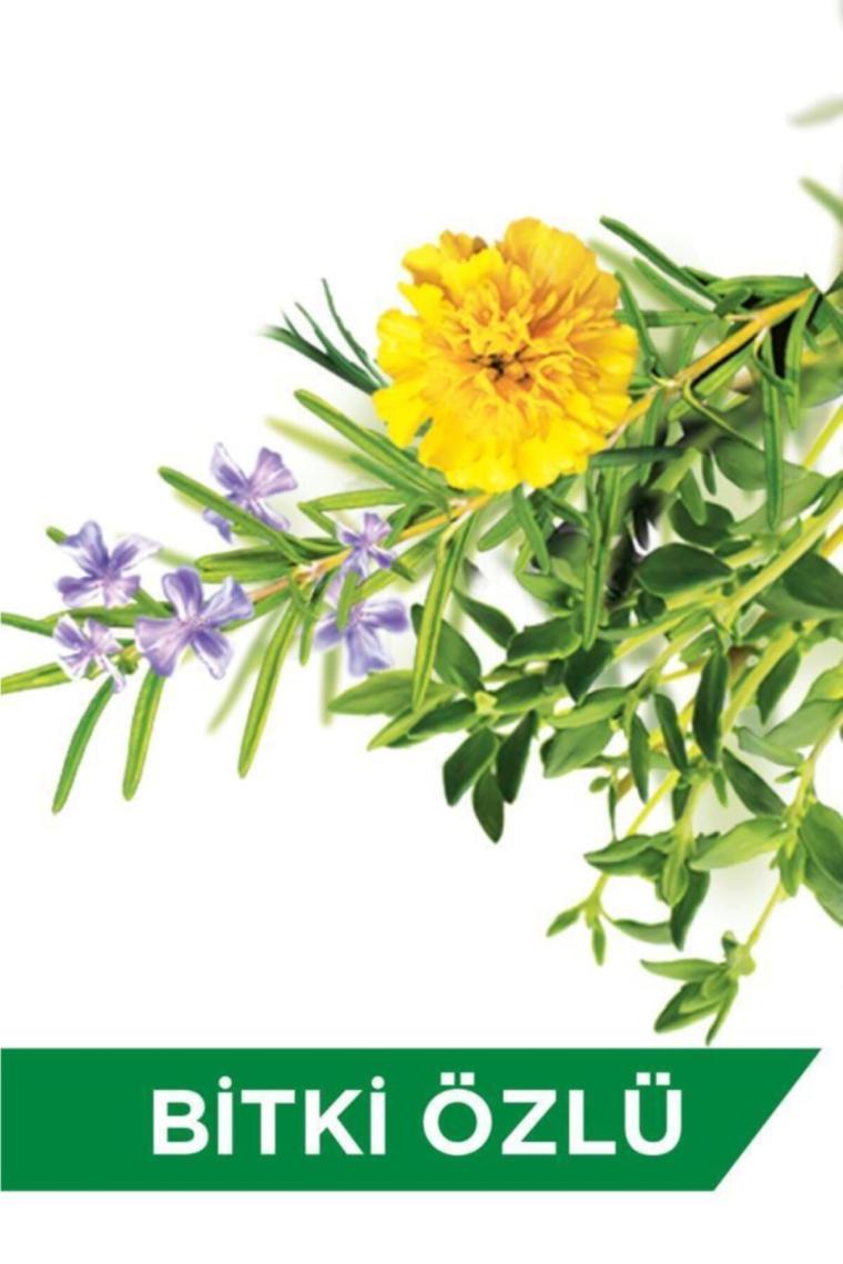 Protex Antibakteriyel Bitki Özlü Herbal 300 ml Sıvı Sabun
