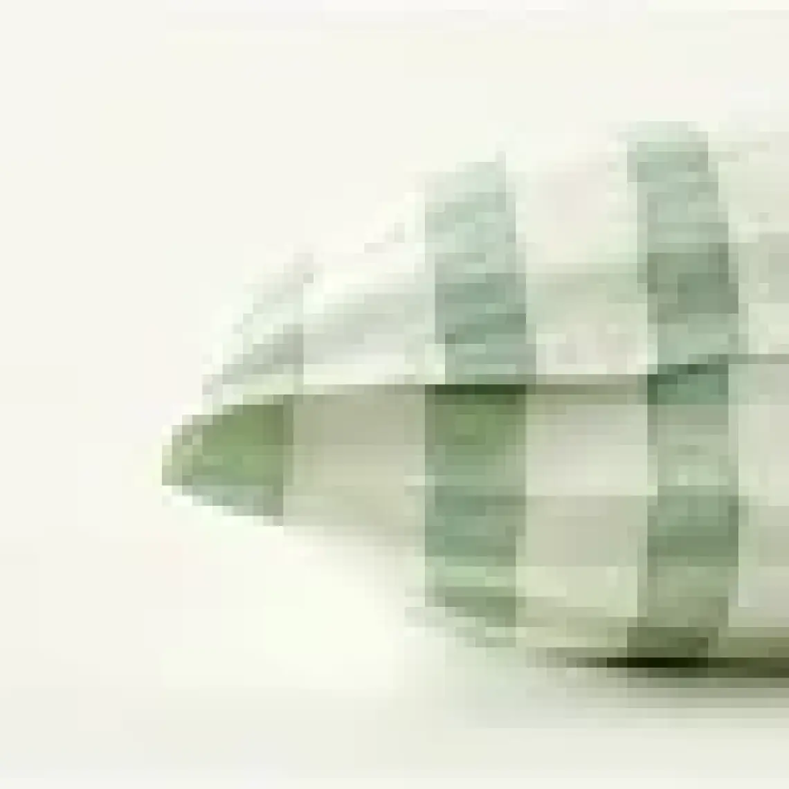 Bella Maison %100 Pamuk Sunshine Çocuk Nevresim Takımı Yeşil (160x220 cm)