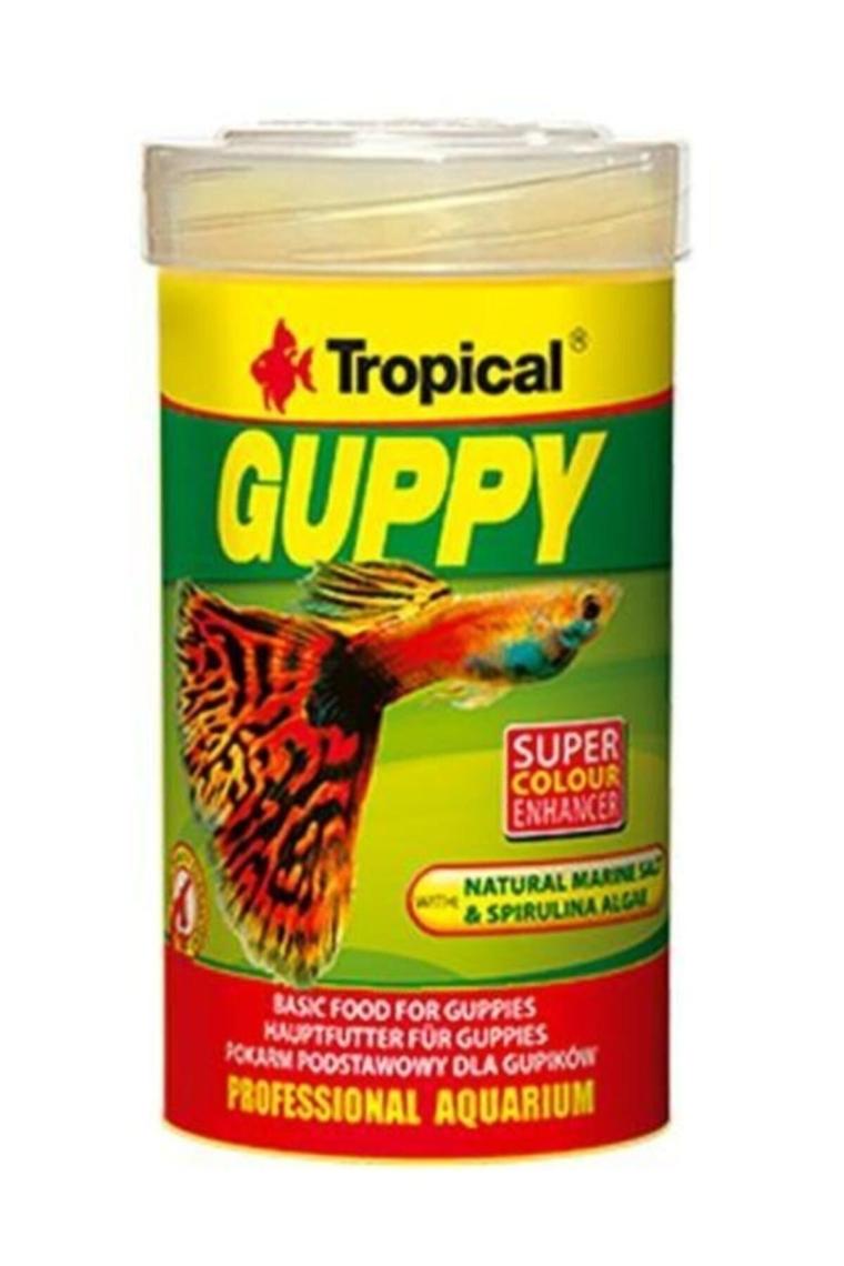 Guppy Lepistes Pul Balık Yemi 100 ml