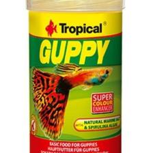 Guppy Lepistes Pul Balık Yemi 100 ml