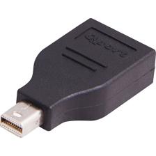 QPort Q-MDP2 Mini Display Port Erkek - Display Port Dişi Çevirici