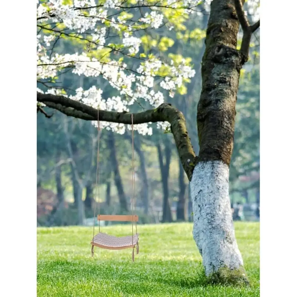 Holmen Çağlayan Ahşap Salıncak Sırt Dayanaklı
