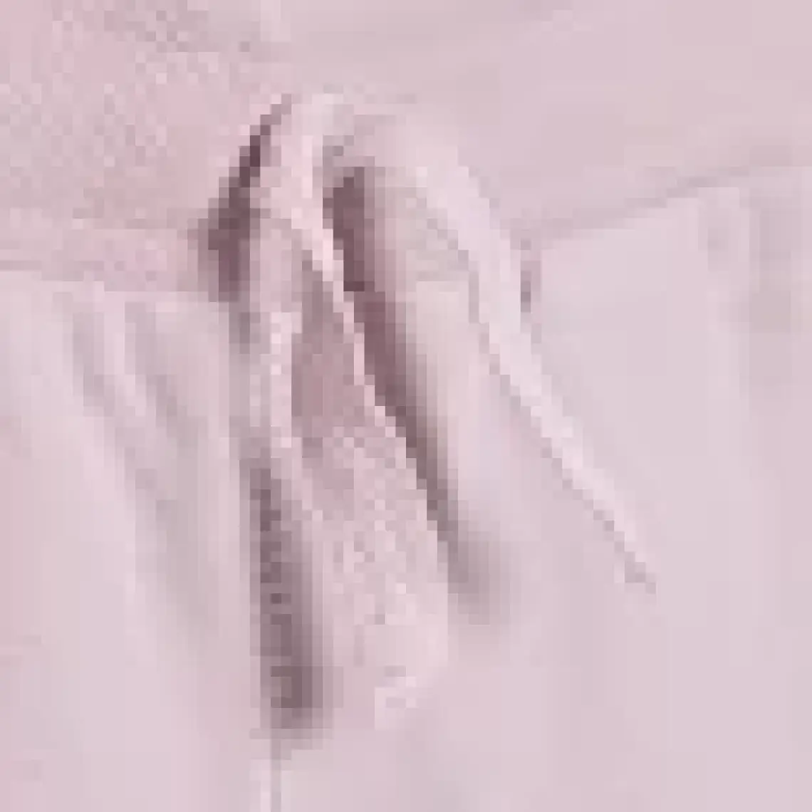 HelloBaby Basic Az Şardonlu Eşofman Alt Kız Bebek